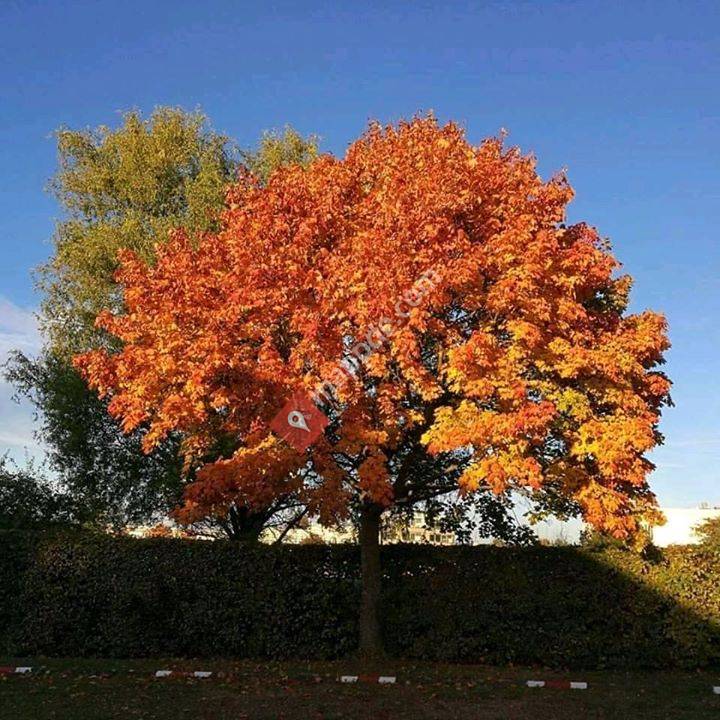 Gartenanlage Sonnenscheinstraße