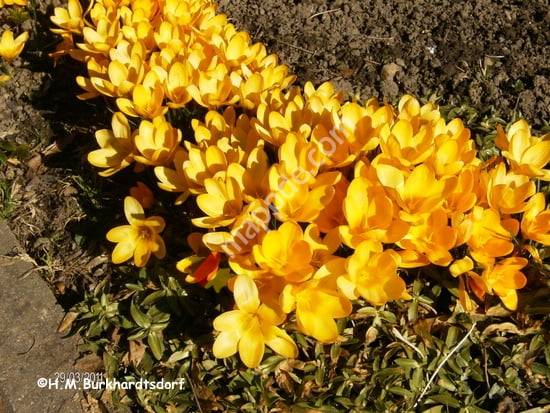 Gartenheim Am Lehngericht