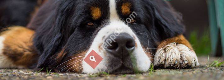 Gebrauchshundeverein Cadolzburg