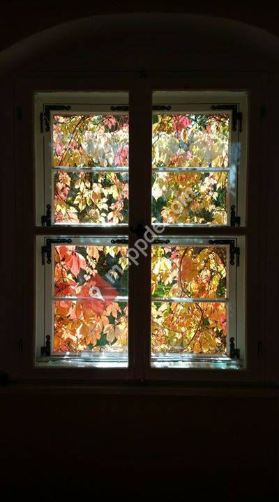 Geburtshaus RUNA ( Rund Umsorgt Natürlich Ankommen )