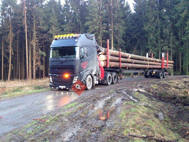Gelder Holztransporte und Holzhandel
