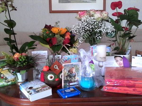 Gerhard Katzmann Tierarzt