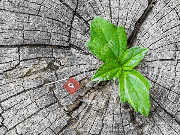 Gesundheitspraxis Maas