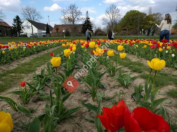 Getränke Mennen GmbH