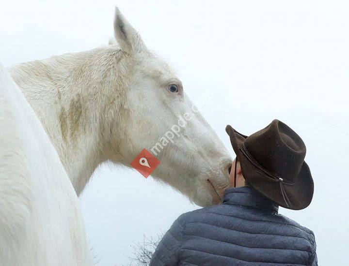 Glücksclick - dein Partner für dich und dein Pferd