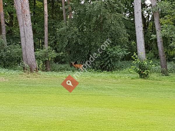 Golf Club Mannheim-Viernheim 1930 e.V.
