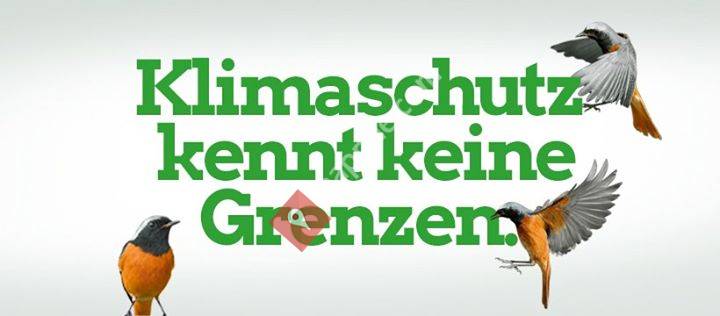 Grüne Cadolzburg