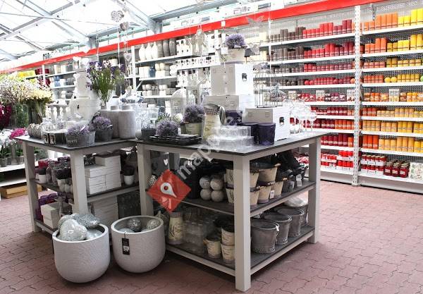 hagebaumarkt Haltern B. Frieling GmbH & Co.KG