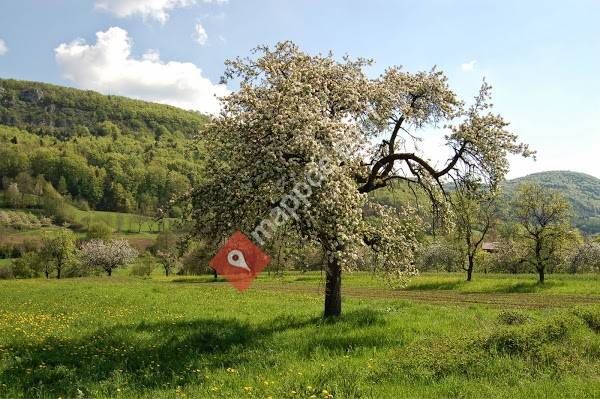 Hausarzt & Internist. Dr. M. & A. Rottenberger, Dr. S. Wagner (a.Ä.)