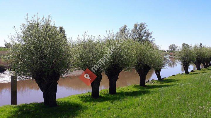 Hebammenpraxis Carmen Balke