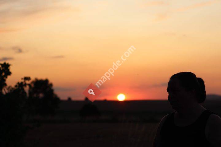 hildesheimer-allgemeine.de