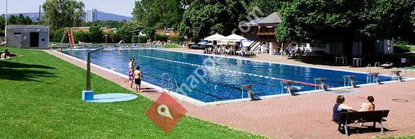 Höchster Schwimmverein 1893 e.V.