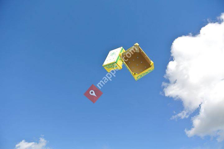 HoKi GmbH - Dradrach