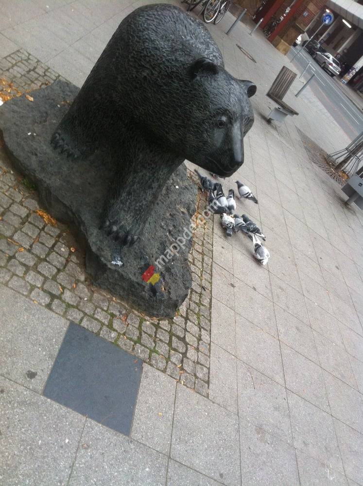 Hotel Schwarzer Bär