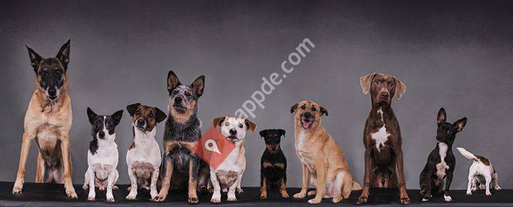 Hund&Du - Für ein ganzes Hundeleben