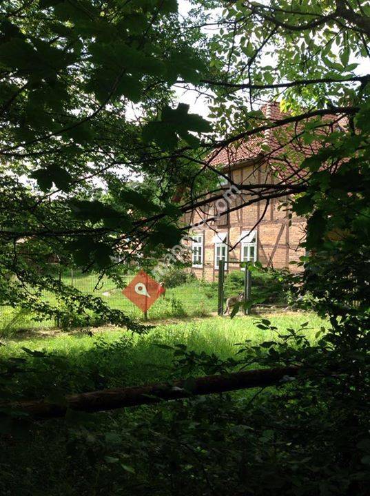 Hundepension Forsthaus Malloh