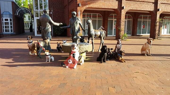 Hundeschule Krause