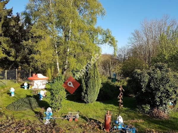 Isländergestüt Schurrenhof