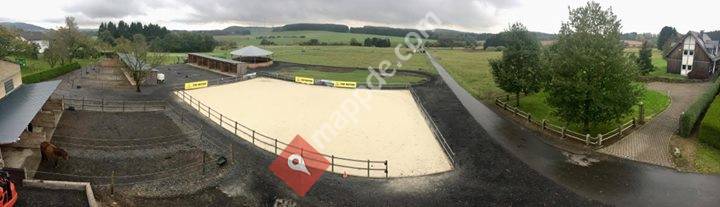 Islandpferde vom Elbbachtal