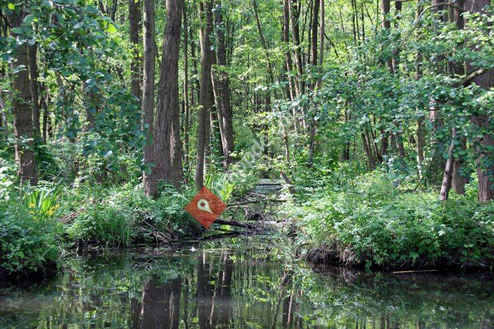Kahnfahrten und Ferienwohnung Torsten Tyra