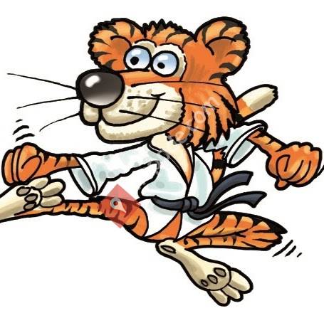 Karate Geiger (Kinderkarate Wörth an der Donau)