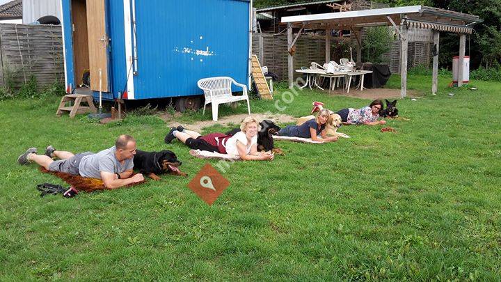 Karins Hundeschule