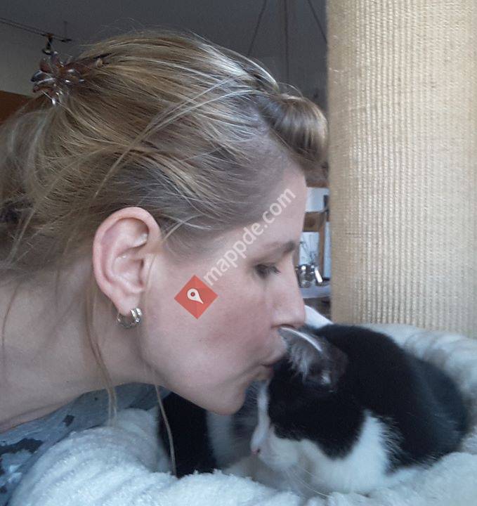 Katzenpsychologie Jeanette Schmid