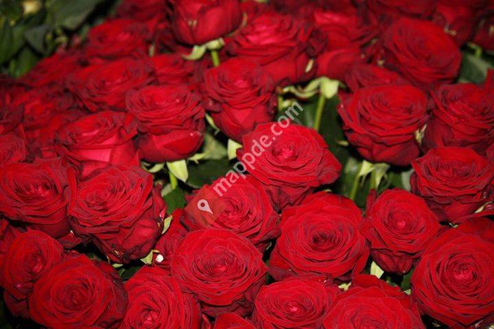 Kerstins Blumenladen