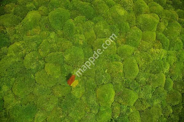 Kieferorthopädische Praxis Antje Fügener