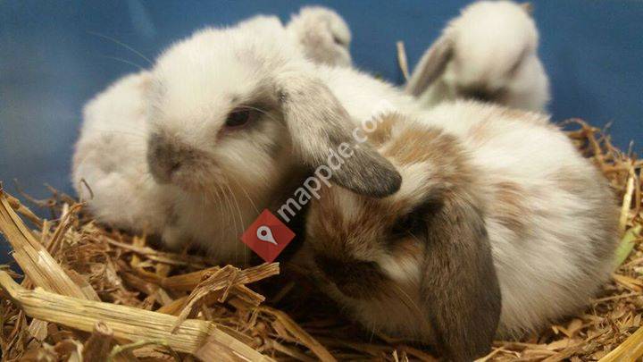 Kleintierpraxis Bahnstrasse