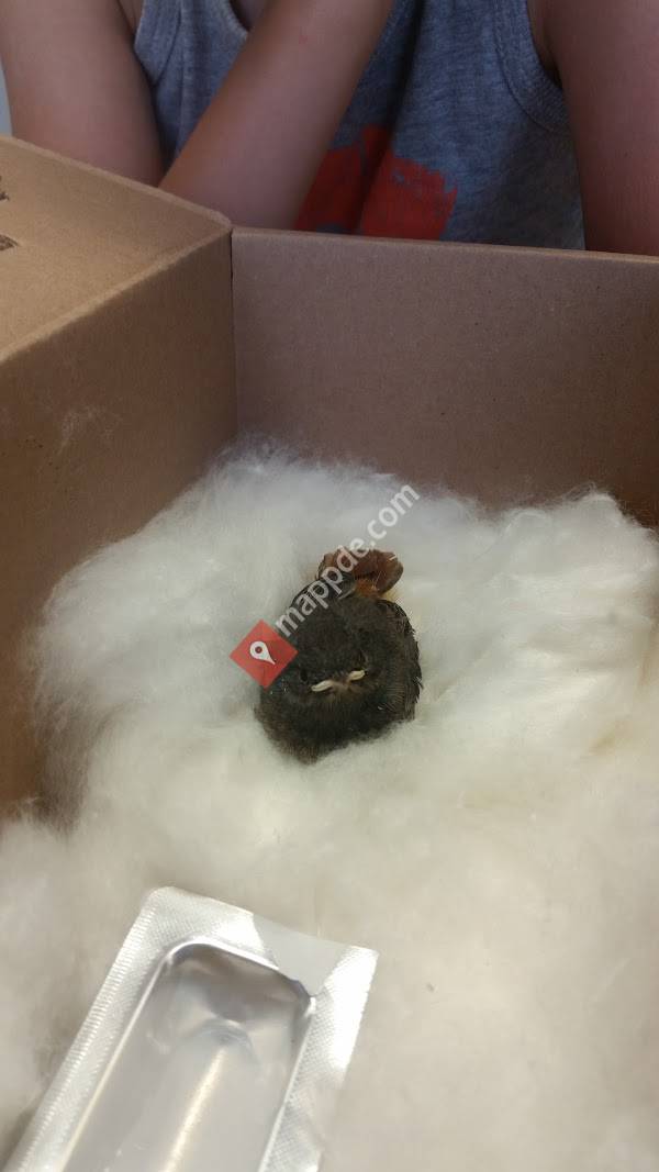 Kleintierpraxis TÄ Nadja Gröschner & Dr. Bernd Kosnick