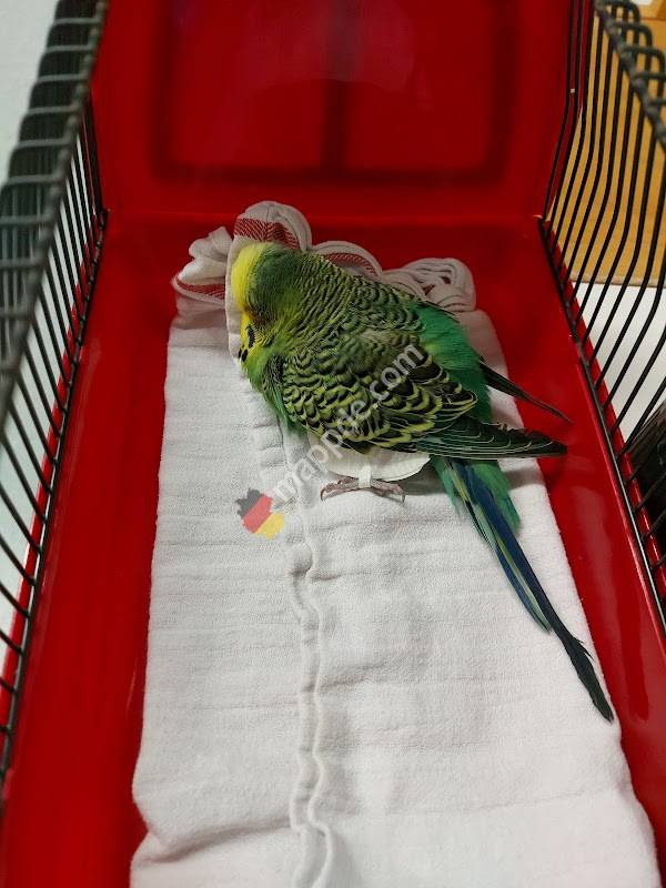 Klinik für Vögel, Kleinsäuger, Reptilien und Zierfische, LMU München