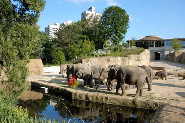 Kölner Zoo