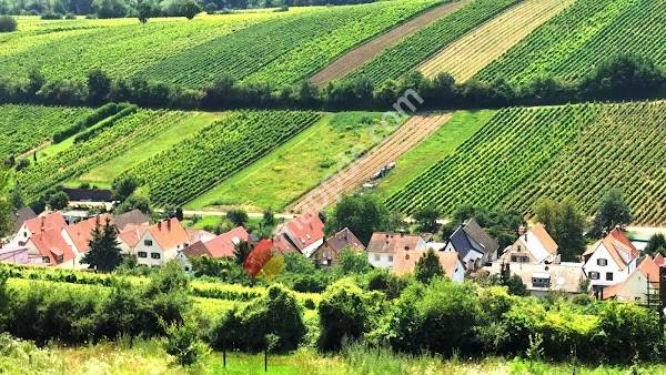 Kolpingsfamilie Landau e.V.