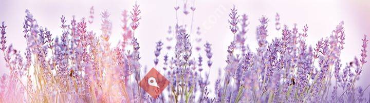 Komplementäre Medizin & Naturheilkunde Stephanie Clauß