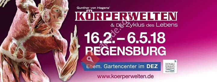 Körperwelten Regensburg