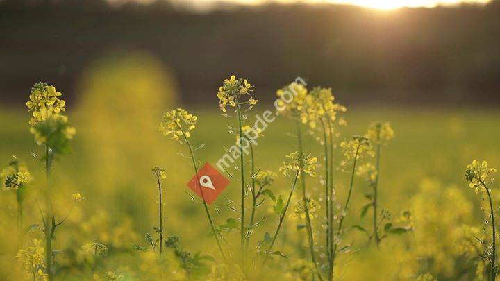 Kulturland-Genossenschaft