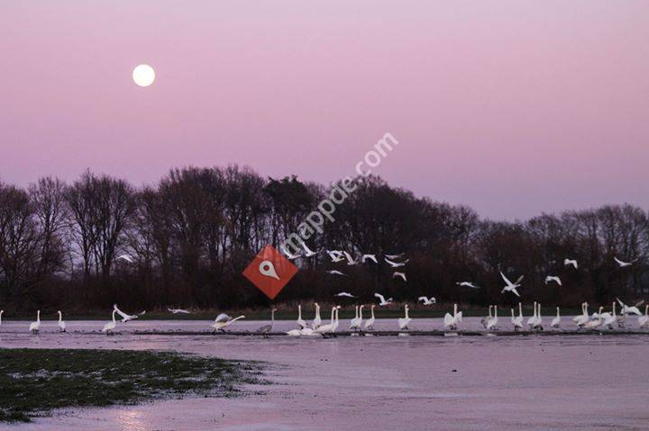 Landtouristik SG Selsingen