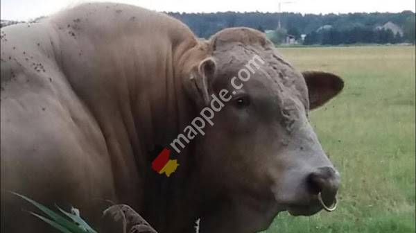 Landwirtschaftsbetrieb Ralf Lehmann