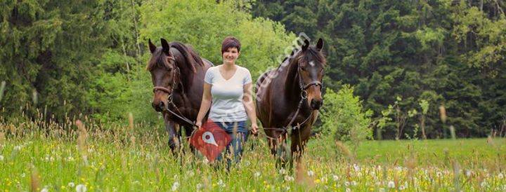 Lebensgefühl Tierphysiotherapie Michelle Becker