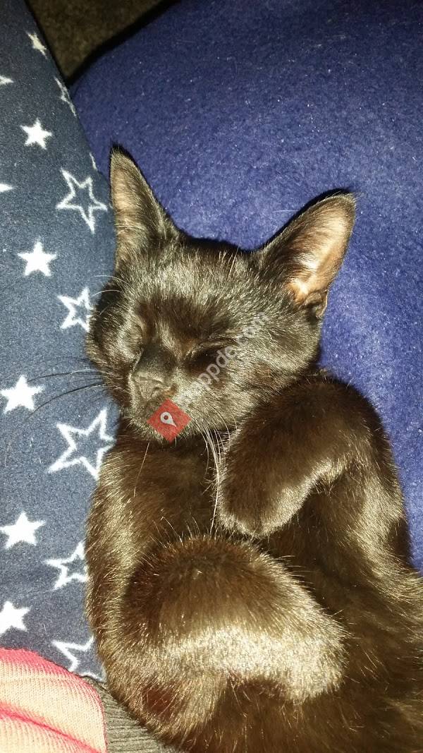 Leonhards Johanna Dr. Kleintierpraxis