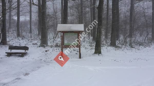 LGO Euskirchen/Erftstadt e.V.