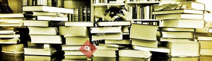 Literatur im Fenster