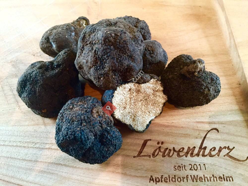 Löwenherz Gastronomie