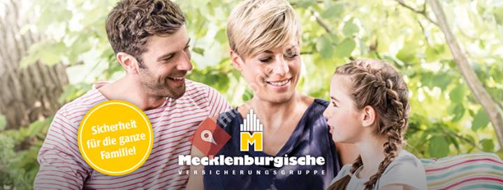 Manuel Wüst, Mecklenburgische Versicherungsgruppe