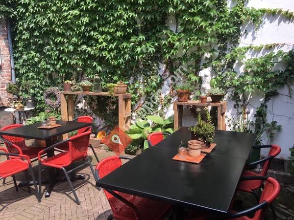 Marco Polo / De Gildenkamer