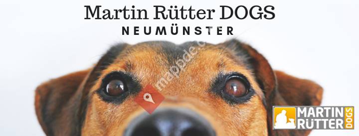 Martin Rütter DOGS Neumünster