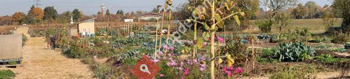 Mikro Landwirtschaft