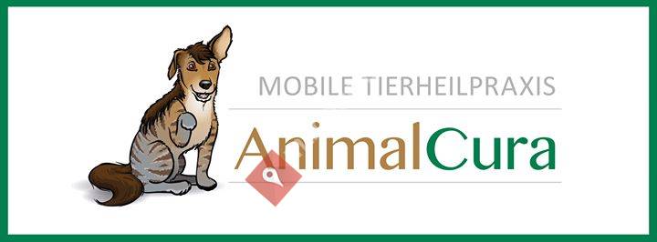 Mobile Tierheilpraxis AnimalCura - Eva Buhmann Tierheilpraktikerin