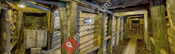 Museum Schloss und Festung Senftenberg / Kunstsammlung Lausitz